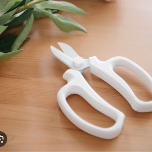 Camilla Flower Snips from Summer 2022 Jilly Box